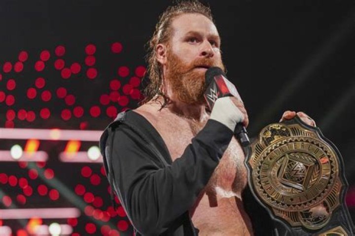 Unveiling The Wealth Of Sami Zayn: Secrets And Surprises Revealed
